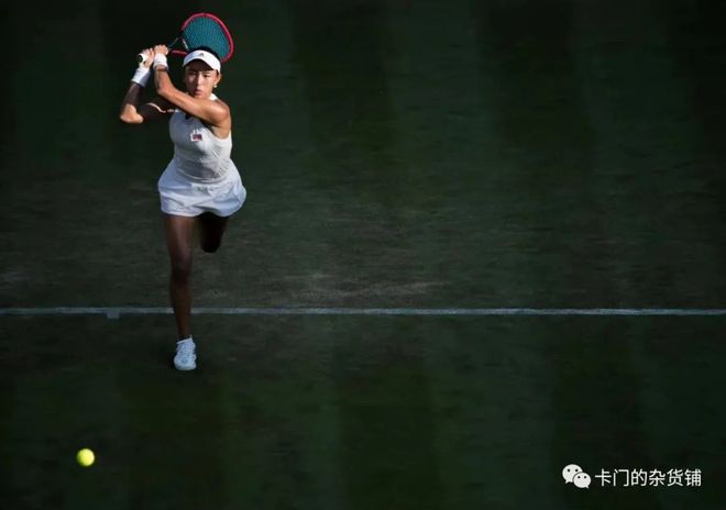 术和高度的 术和高度的