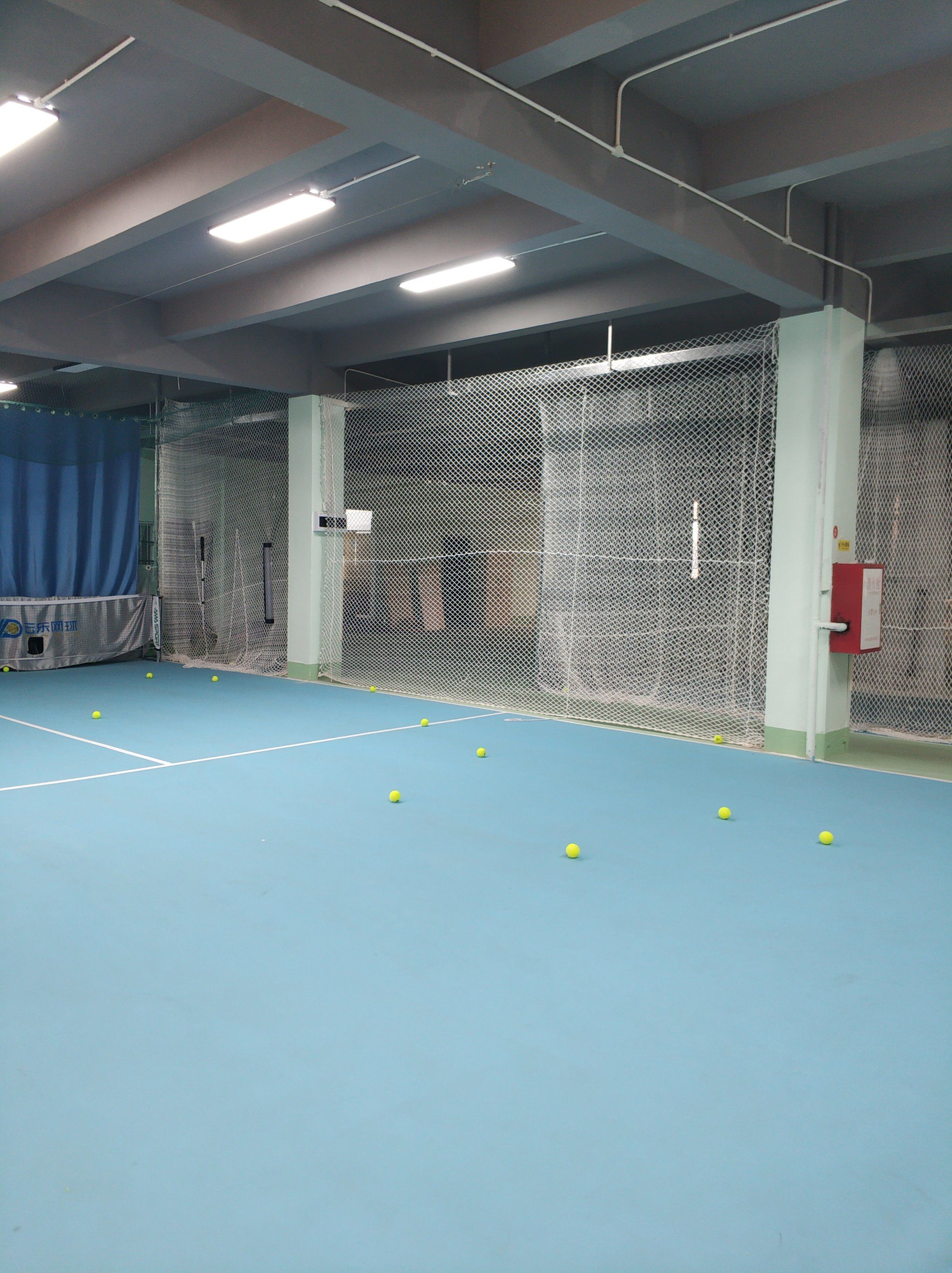 传闻极易被 传闻极易被